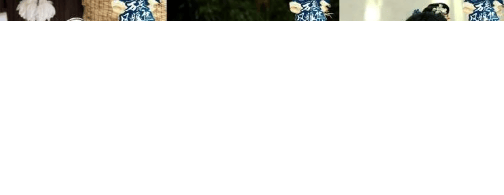 优酷广告营销周末逃计划首站“逃汽”开启