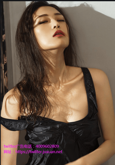 多西Twitter广告公司演讲：承认需改善开发者关系