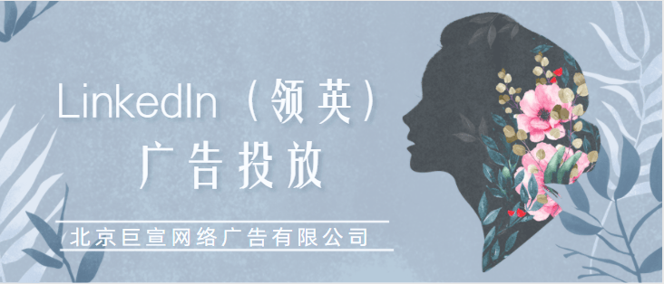 LinkedIn广告投放——访问和管理匹配目标客户再目标客户网站