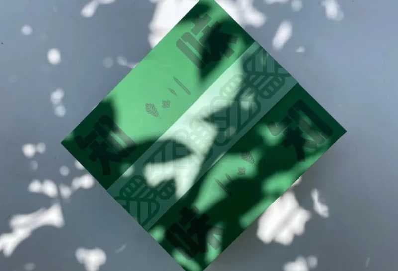 端午快乐丨我们准备了 2 份大礼,想要送给热爱知乎的你