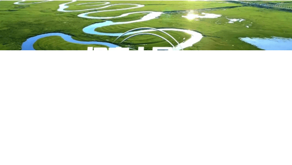 在B站纪录片里,找到品牌营销新「宝藏」 | B站推广案例