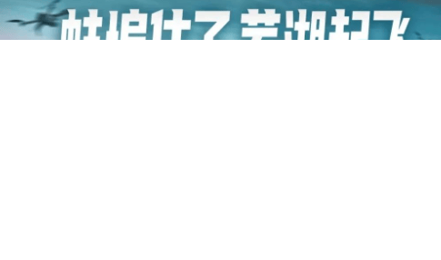 五大场景抓住新用户，新能源汽车为何不能错过B站广告营销？