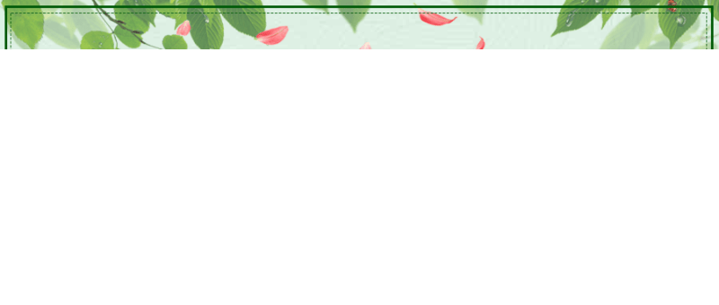 Twitter广告投放：网站活动自定义受众