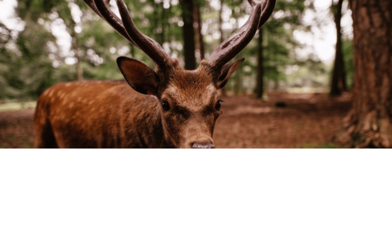 爱奇艺视频广告如何做？爱奇艺视频广告价格如何计算？