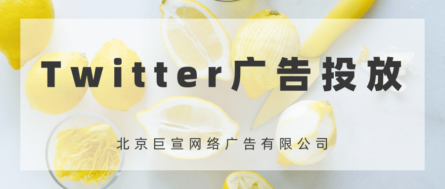 Twitter广告投放:广告编辑器