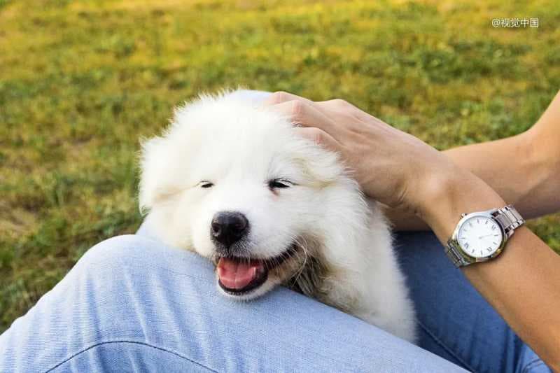 产品力企业,「投资」什么最保值?—知乎广告平台