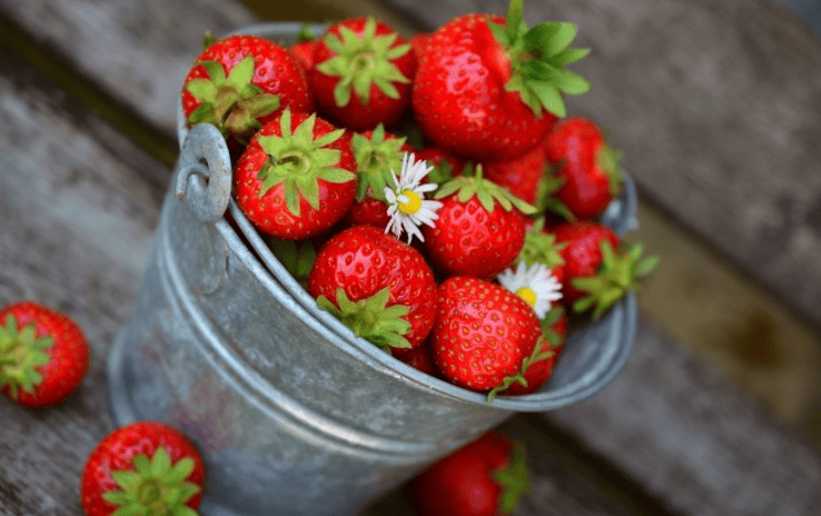 优酷视频广告登录入口在哪里?优酷现在跑开关成本需要多少?