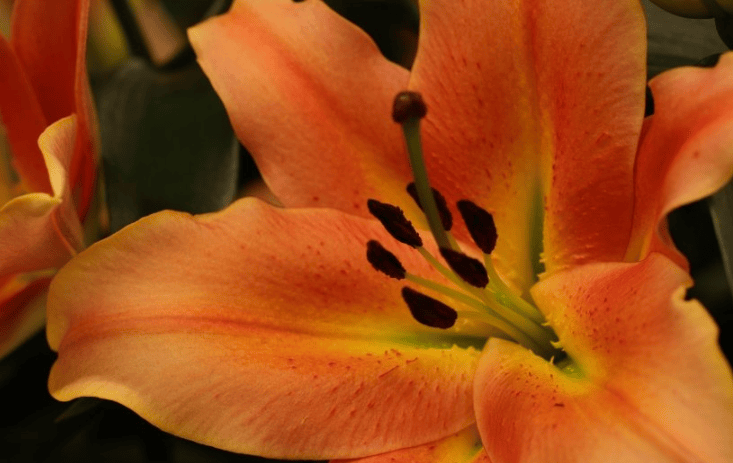 优酷视频广告怎么做？优酷视频现在跑纸业成本多少钱？