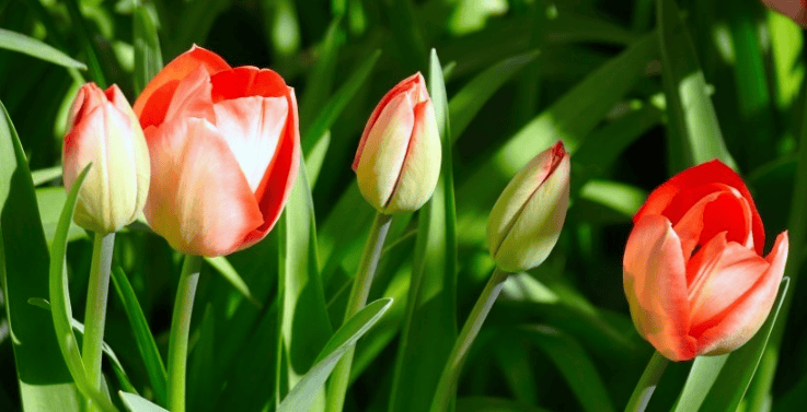 优酷视频广告怎么做?优酷视频现在跑纸业成本多少钱?