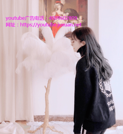 YouTube不会向公众披露其广告收入份额