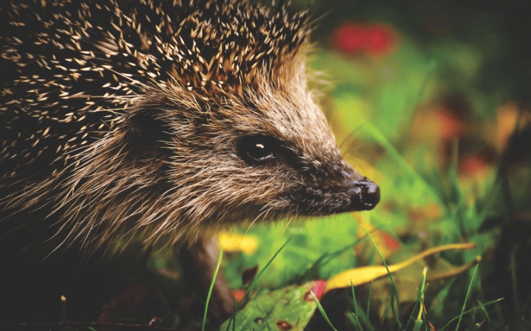 YouTube现在跑帽子成本多少?YouTube现在开户需要多少钱?