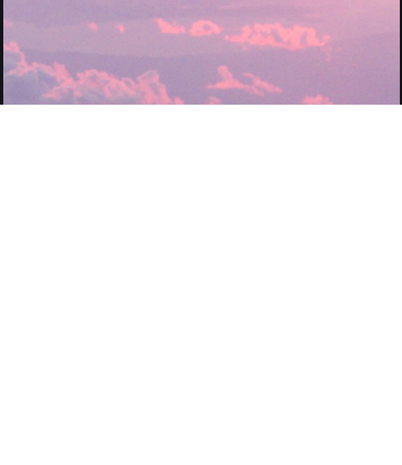 Pinterest跑环保广告怎么收费?Pinterest推广怎么做?