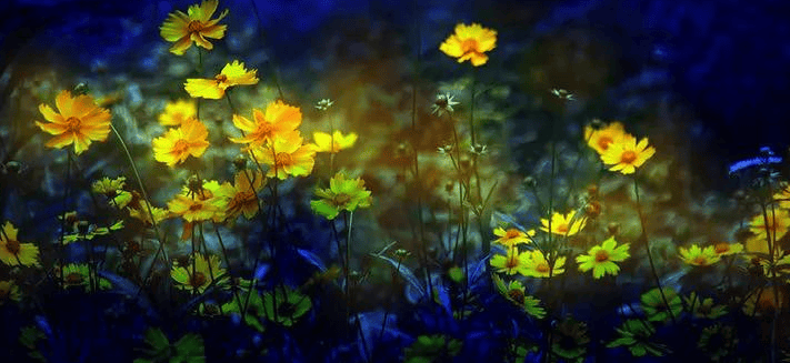 Pinterest跑环保广告怎么收费？Pinterest推广怎么做？