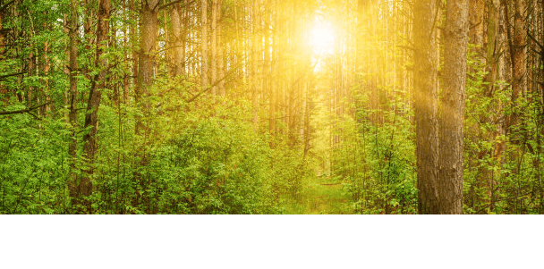 Pinterest开户怎么做?Pinterest推广白酒广告优惠活动有哪些?