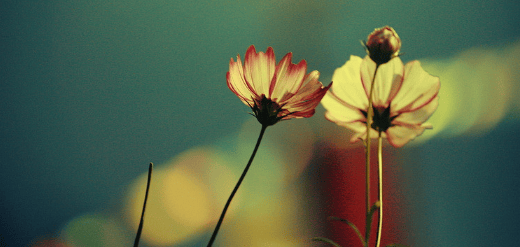 微信广告怎么投放?广告怎么做?