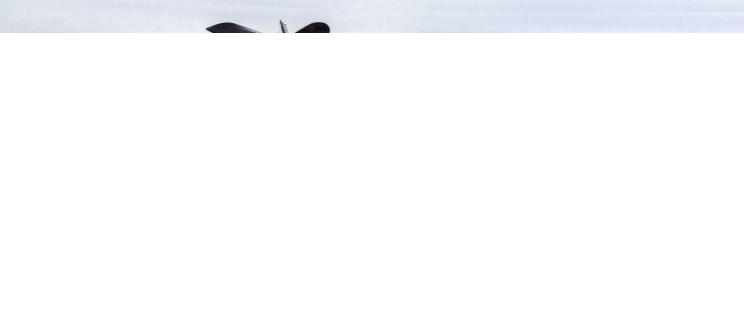 Pinterest信息流广告价格是多少？你知道Pinterest跑金融效果怎样？