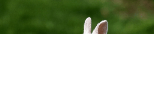 华为广告怎么开户?投放技巧