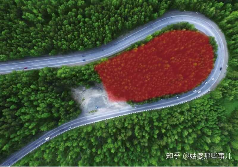 ps图层蒙版的作用是什么（ps中剪切蒙版的作用讲解）