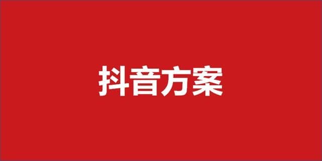 307抖音营销策划方案（34份）