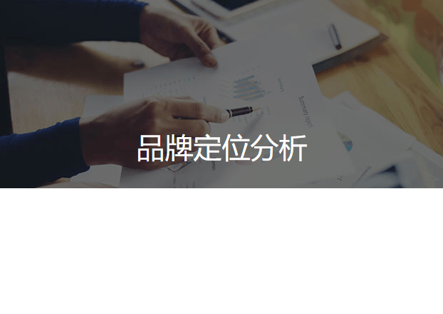 品牌定位分析