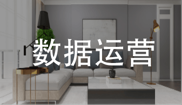 数据运营