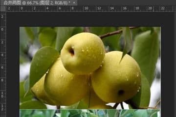 ps怎么合并两张图片成一张（图片无缝合并操作教程）