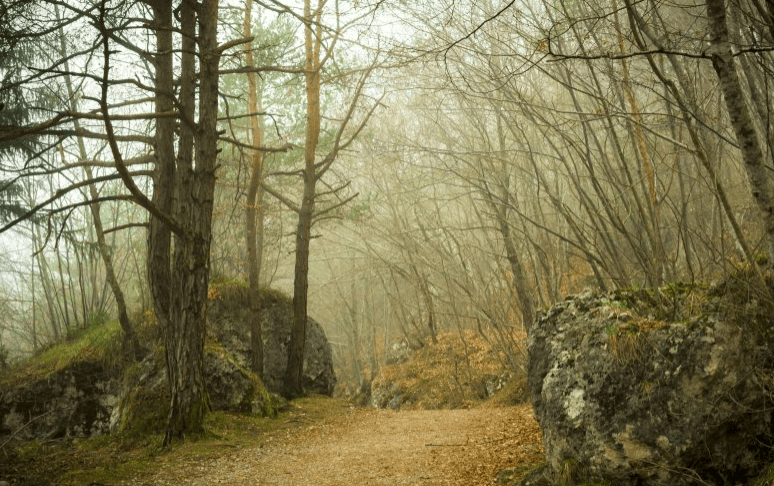 什么是微信推广?为什么要进行微信推广?