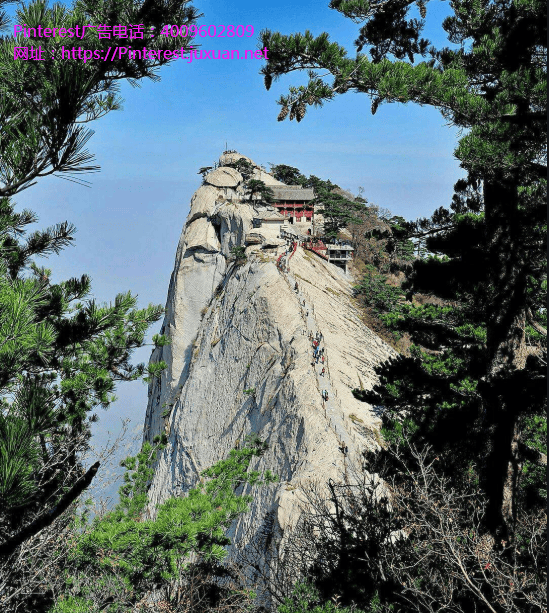 美版小红书Pinterest开户成为独角兽之后的危与机。