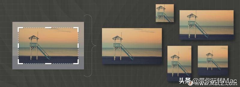 ai怎么改尺寸不变形（ai零基础入门教程）