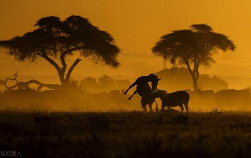 抖音文案怎么写吸引人（推广引流吸引人的文案）