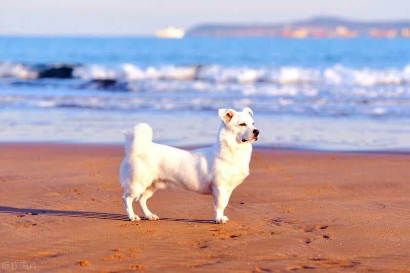 抖音文案怎么写吸引人（推广引流吸引人的文案）