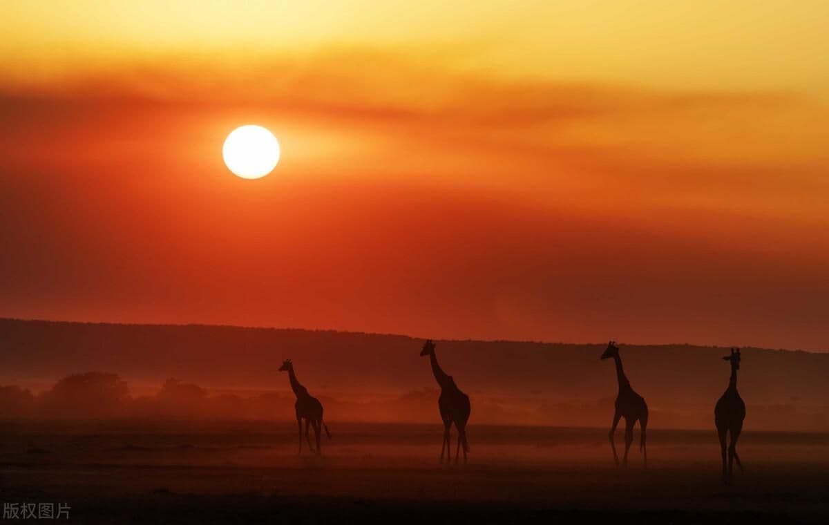 抖音文案怎么写吸引人(推广引流吸引人的文案)