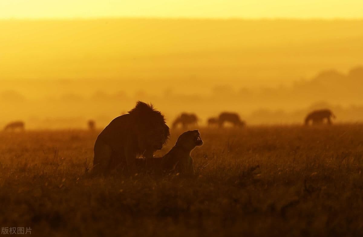 抖音文案怎么写吸引人（推广引流吸引人的文案）