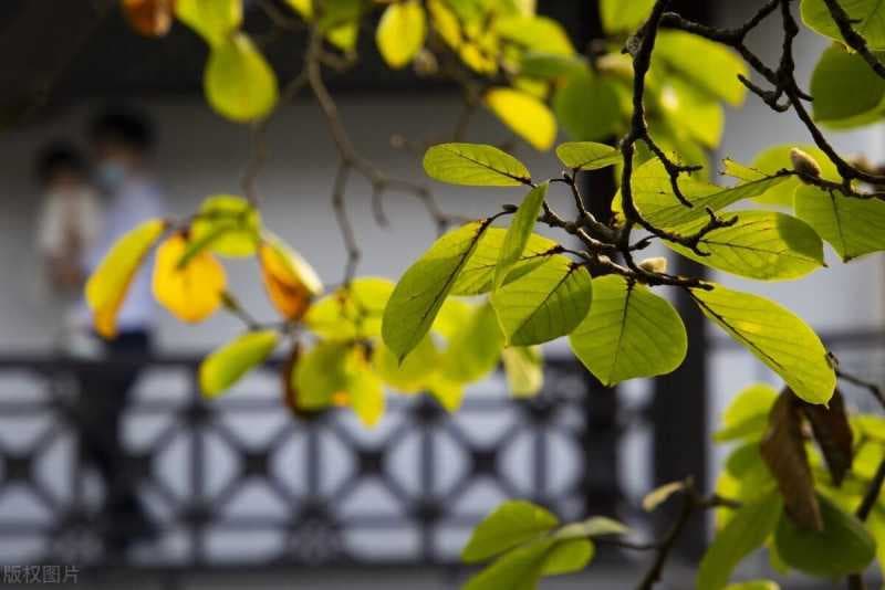 抖音文案怎么写吸引人（推广引流吸引人的文案）