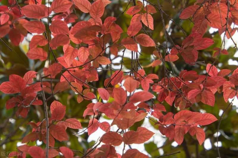 抖音文案怎么写吸引人（推广引流吸引人的文案）