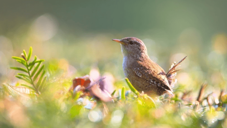 YouTube现在跑兼职成本多少?YouTube跑插座广告怎么做?