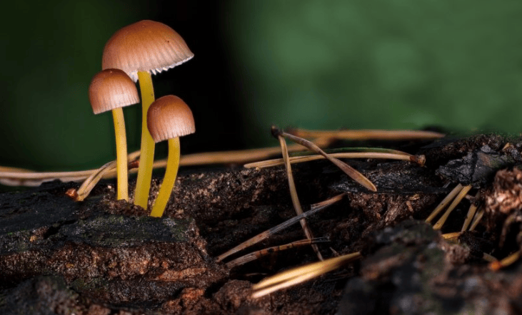 YouTube现在跑兼职成本多少?YouTube跑插座广告怎么做?