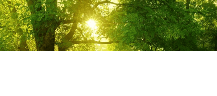 YouTube跑玩具广告投放技巧有哪些?怎样收费?