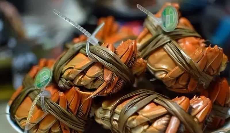 抖音直播带货怎么做起来（直播带货新手入门教程）