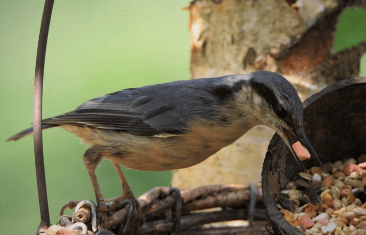 优酷视频广告价格是多少钱？优酷现在跑车灯返点多少？
