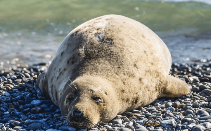 优酷推广怎么收费?优酷现在跑照明工具成本多少？