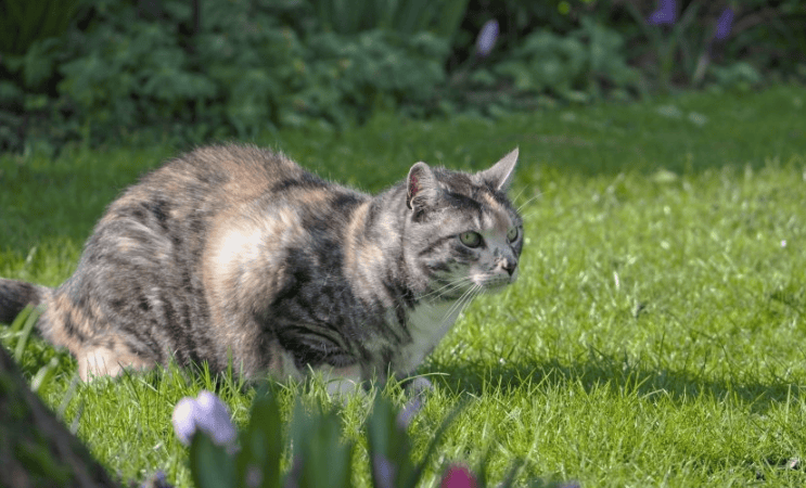 优酷广告开户流程有哪些？优酷开户客服电话是多少？