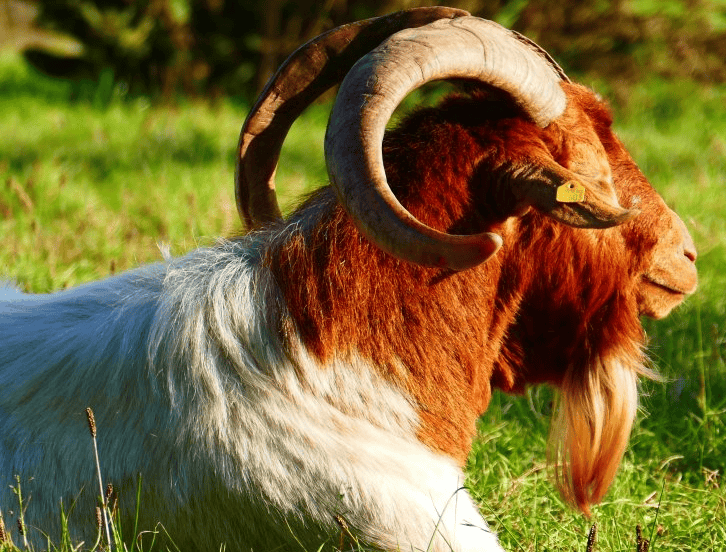 优酷现在跑培训效果好吗？优酷广告投放需要多少钱？