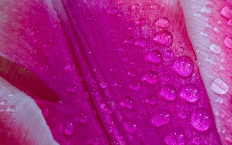 优酷现在跑培训效果好吗？优酷广告投放需要多少钱？