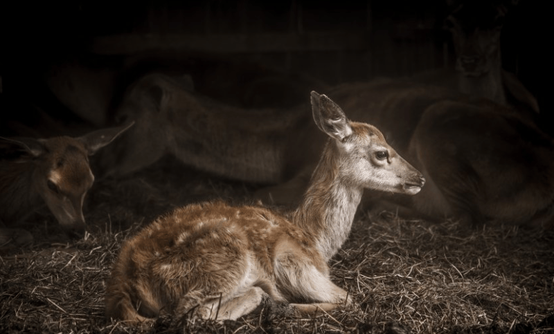 优酷广告价格是多少钱?优酷视频现在投放广告一天需要多少钱?