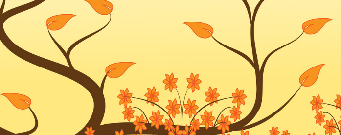 wps现在跑杯子返点多少?有哪些政策?