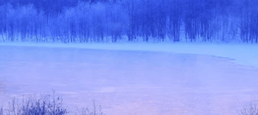 wps现在跑杯子返点多少?有哪些政策?