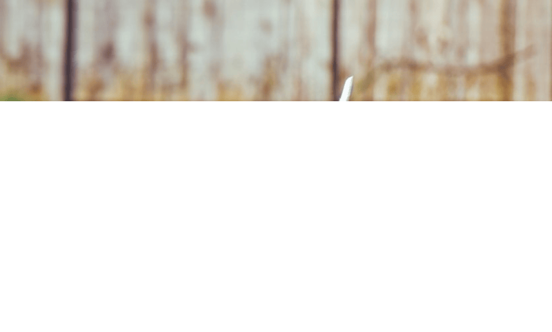 你知道爱奇艺推广哪些产品吗?爱奇艺跑教育效果好吗？