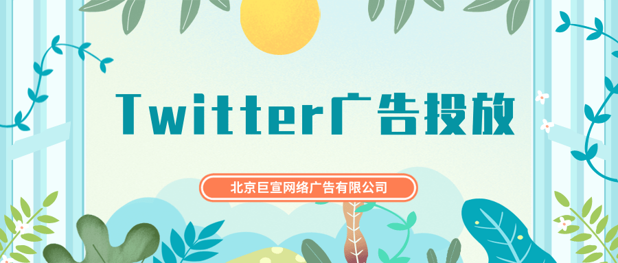 Twitter广告投放:专业简介