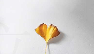 喜马拉雅开户怎么收费？喜马拉雅广告代理商电话是多少？